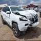 1C4PJMCS5HW546821 2017 Jeep Cherokee 75Th Anniversary Edition 4X4 auction photo thumbnail 1