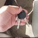 1G1AK55F177403391 2007 Chevrolet Cobalt Ls auction photo thumbnail 11