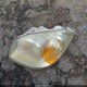 1G1AK55F177403391 2007 Chevrolet Cobalt Ls auction photo thumbnail 12