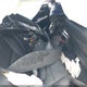 4T1BF1FK8FU957916 2015 Toyota Camry Se auction photo thumbnail 8