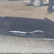 4T1BK3EK8AU113375 2010 Toyota Camry Xle V6 auction photo thumbnail 6