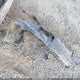 1G4HD57M29U133745 2009 Buick Lucerne Cxl-3 auction photo thumbnail 12