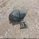 ZAM57RTAXE1117771 2014 Maserati Ghibli S Q4 auction photo thumbnail 12