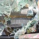1GCCS19W11K141704 2001 Chevrolet S-10 Ls auction photo thumbnail 9