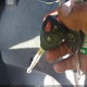 2T3ZF4DV5CW127393 2012 Toyota Rav4 auction photo thumbnail 11