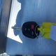 4T1BF1FK2HU290943 2017 Toyota Camry Se auction photo thumbnail 11