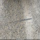 1FMYU93134KA81145 2004 Ford Escape Xlt auction photo thumbnail 12
