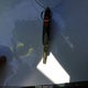 3VWRA71K88M181254 2008 Volkswagen Jetta Wolfsburg Edition auction photo thumbnail 11