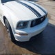 1ZVFT82H265186006 2006 Ford Mustang Gt auction photo thumbnail 11