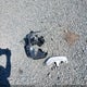 KM8R2DHE8LU112188 2020 Hyundai Palisade Sel auction photo thumbnail 12