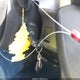 2T3BFREV7GW411188 2016 Toyota Rav4 Le auction photo thumbnail 11