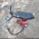 5J6RE3H50AL036971 2010 Honda Cr-V Ex auction photo thumbnail 12