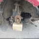 1FMYU93183KA31193 2003 Ford Escape Xlt auction photo thumbnail 6