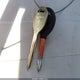3B7HA18N52G102978 2002 Dodge Ram 1500 St auction photo thumbnail 11