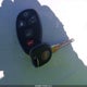 1GNKVLED6BJ275626 2011 Chevrolet Traverse Ltz auction photo thumbnail 11