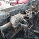 1C4PJMCS2EW285689 2014 Jeep Cherokee Latitude auction photo thumbnail 7