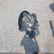 KNDCE3LC6H5088752 2017 Kia Niro Touring auction photo thumbnail 12