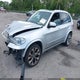 5UXZV4C50D0E13745 2013 BMW X5 xDrive35I/xDrive35I Premium/xDrive35I Sport Activity auction photo thumbnail 2