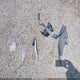 KL7CJLSB8LB347169 2020 Chevrolet Trax Fwd Lt auction photo thumbnail 12