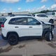 1C4PJLAB5HW669175 2017 Jeep Cherokee Sport Fwd auction photo thumbnail 13
