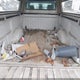 1FTMF1CM3EFA56782 2014 Ford F-150 Xl auction photo thumbnail 3