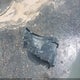 1FA6P8CF3L5168801 2020 Ford Mustang Gt Fastback auction photo thumbnail 12