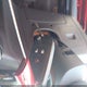 KL8CD6S95DC570525 2013 Chevrolet Spark 1Lt Auto auction photo thumbnail 11
