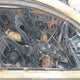3FA6P0T95HR136304 2017 Ford Fusion Se auction photo thumbnail 5