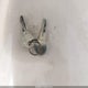 BUJ17012L415 2015 Suntracker Other auction photo thumbnail 11