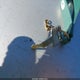 RGSW643A8SBK60115 2025 Kawasaki Kaf700 A auction photo thumbnail 11