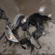 5J6RM4H3XFL059382 2015 Honda Cr-V Lx auction photo thumbnail 12