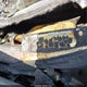5XXGU4L30GG091134 2016 Kia Optima Ex auction photo thumbnail 9