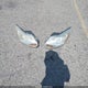 1FAHP3K2XCL295079 2012 Ford Focus Se auction photo thumbnail 12