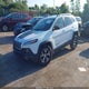 1C4PJMBB6HW528880 2017 Jeep Cherokee Trailhawk 4X4 auction photo thumbnail 2