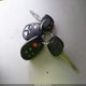 5TDZK23C68S207035 2008 Toyota Sienna Le auction photo thumbnail 11
