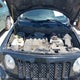 1C4NJPBB8FD418933 2015 Jeep Patriot Sport auction photo thumbnail 10