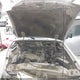1FTYR14V43PA42767 2003 Ford Ranger Edge/Tremor/Xl/Xlt auction photo thumbnail 10