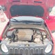 ZACCJBBT5GPD63282 2016 Jeep Renegade Latitude auction photo thumbnail 10