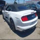 1FATP8UH3K5131488 2019 Ford Mustang Ecoboost Premium auction photo thumbnail 3
