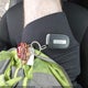 ZACCJBBT1GPD11499 2016 Jeep Renegade Latitude auction photo thumbnail 11