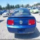 1ZVHT80N875362365 2007 Ford Mustang V6 Deluxe/V6 Premium auction photo thumbnail 17