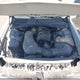 2C3CDZAGXJH265480 2018 Dodge Challenger Sxt auction photo thumbnail 10