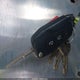 1FDUF5HY0KEG11879 2019 Ford F-550 Chassis Xl auction photo thumbnail 10