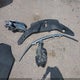 5FNYF6H66GB038423 2016 Honda Pilot Ex-L auction photo thumbnail 12