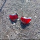 3LNHL2GC1CR824871 2012 Lincoln Mkz auction photo thumbnail 12