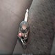 3FAHP0HAXCR339239 2012 Ford Fusion Se auction photo thumbnail 11
