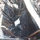WBAVM1C55FV315232 2015 BMW X1 Sdrive28I auction photo thumbnail 8