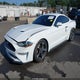 1FA6P8TH4P5100983 2023 Ford Mustang Ecoboost Fastback auction photo thumbnail 2