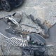 3LNHL2GC5AR621592 2010 Lincoln Mkz auction photo thumbnail 12
