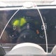 KM8HB3AB1RU039907 2024 Hyundai Kona Sel auction photo thumbnail 7